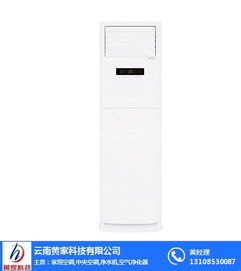黃家商用中央空調(diào)維修與選購指南 家用與商用中央空調(diào)的選擇與維護(hù)